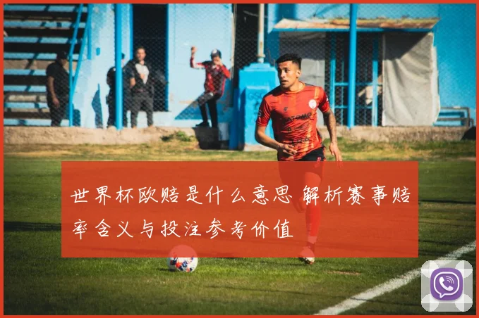 世界杯欧赔是什么意思 解析赛事赔率含义与投注参考价值
