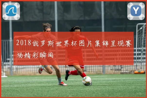 2018俄罗斯世界杯图片集锦呈现赛场精彩瞬间