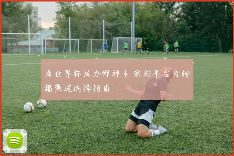 看世界杯该办哪种卡 购彩平台与转播渠道选择指南