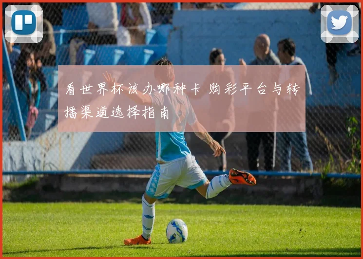 看世界杯该办哪种卡 购彩平台与转播渠道选择指南