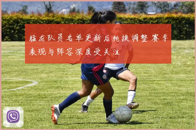 猛龙队员名单更新后轮换调整 赛季表现与阵容深度受关注