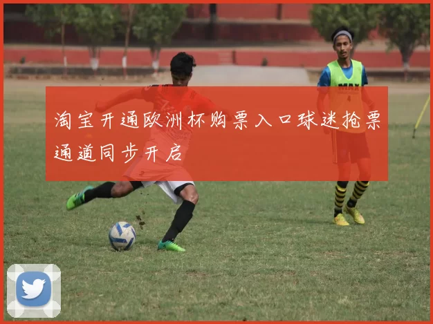 淘宝开通欧洲杯购票入口球迷抢票通道同步开启